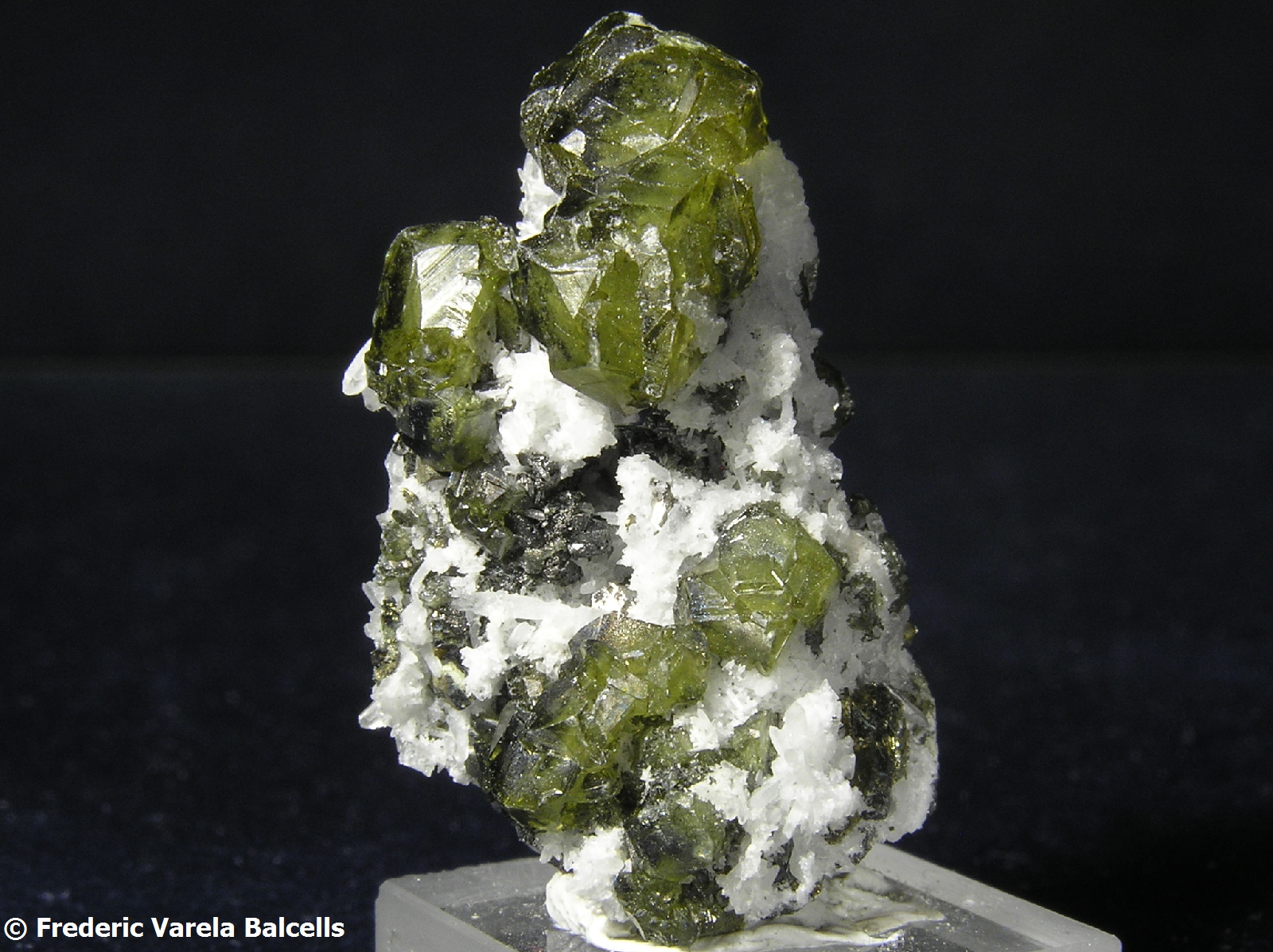 Esfalerita
3 x 2 x 1,5 cm.
(Autor: Frederic Varela)