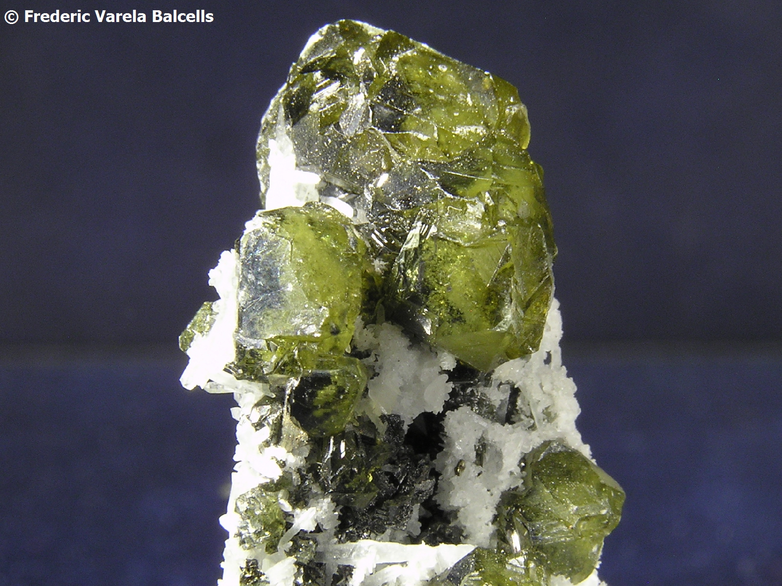 Esfalerita
Encuadre 1,5 x 1 cm. aprox.
(Autor: Frederic Varela)