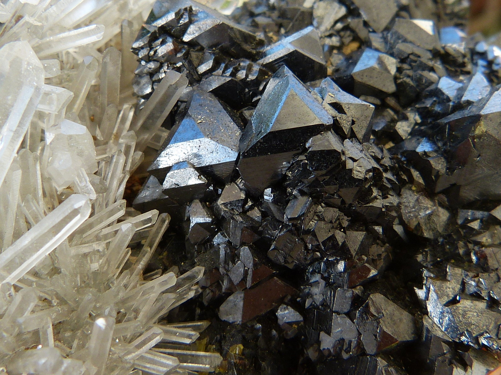 Esfalerita
8x5 cm
(Autor: nerofis2)