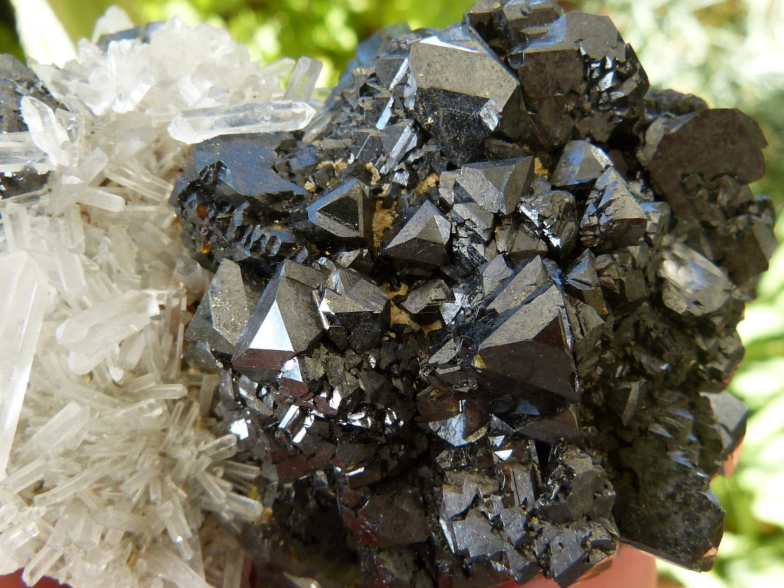 Esfalerita
8x5 cm
(Autor: nerofis2)