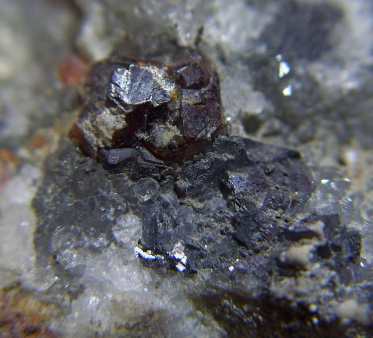 Esfalerita y Galena
Cristal de Esfalerita de 0,5 cm.
(Autor: Darío Menéndez)