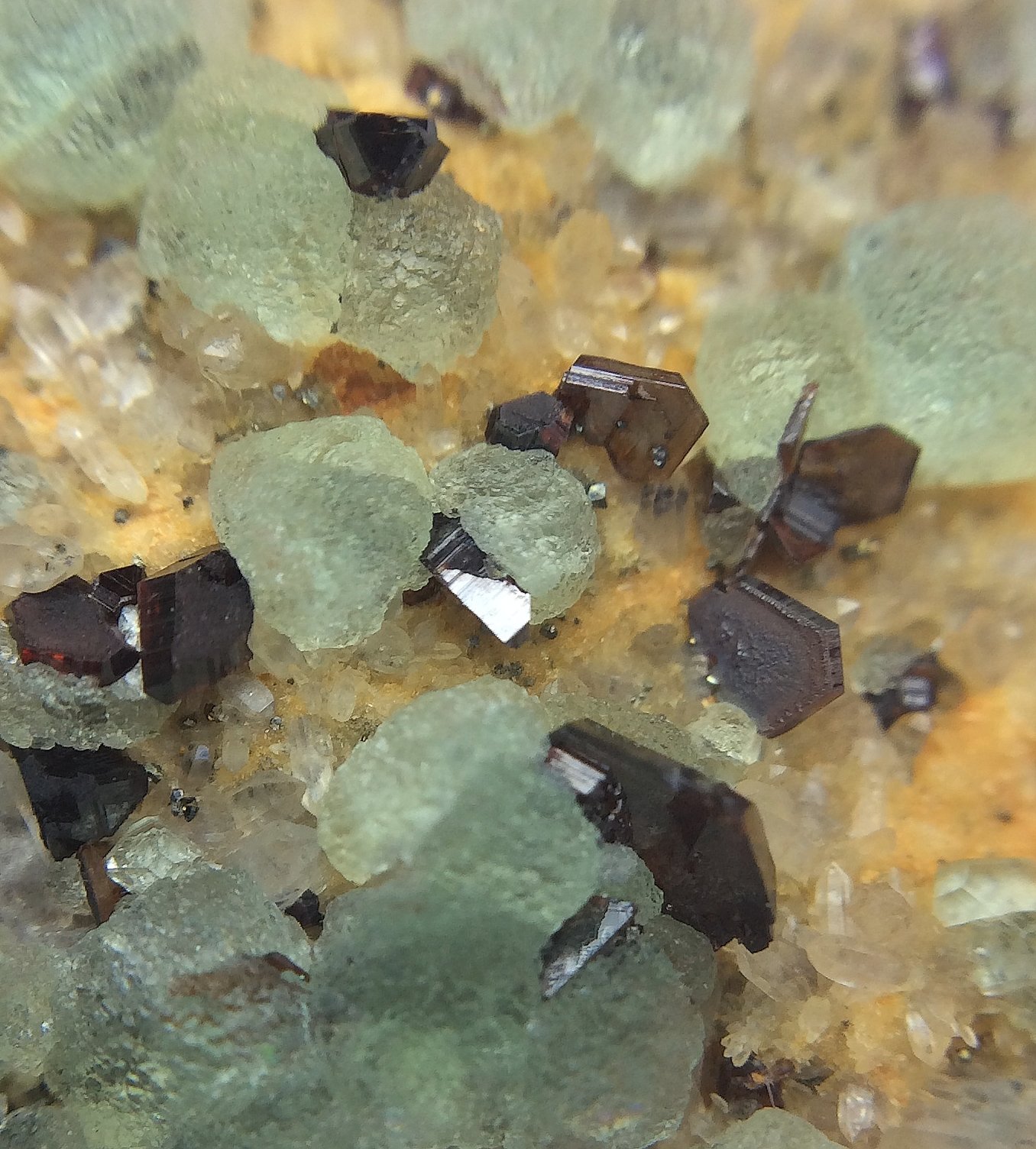 Esfalerita, Fluorita, Cuarzo y Pirita
Cristales de entre 1 y 2 mm de esfalerita
(Autor: Emilio Téllez)