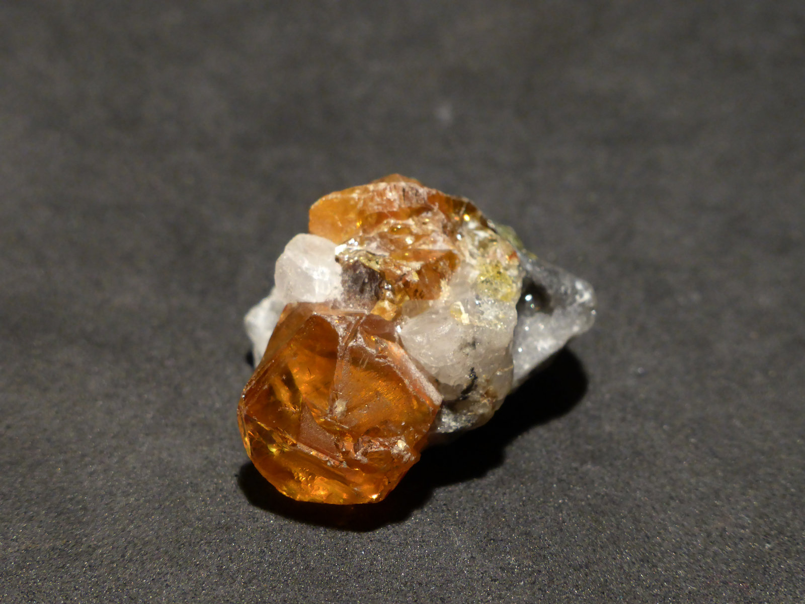3,5x3 cm
(Autor: Ander Ispizua Juan)