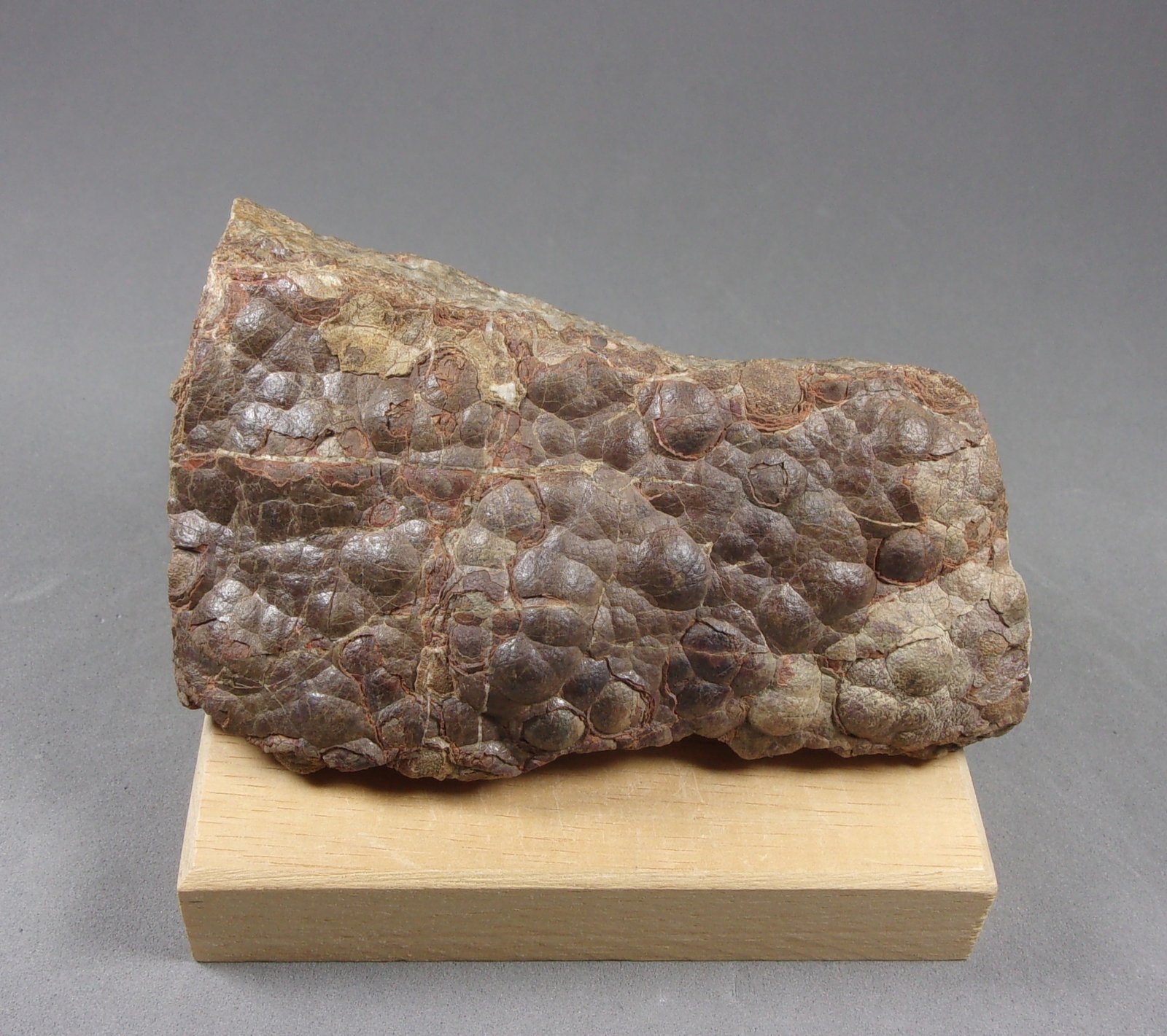 Esfalerita (variedad schalenblenda)
9,3 x 6 x 2,7 cm.
(Autor: J. G. Alcolea)