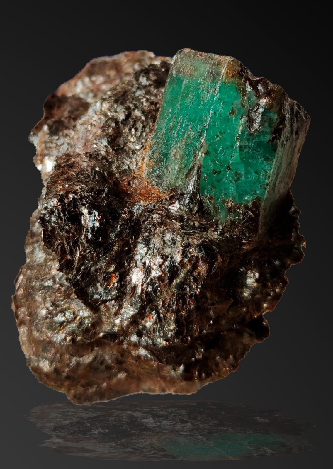 Berilo (variedad esmeralda)
2cm (cristal)
(Autor: srm13151)