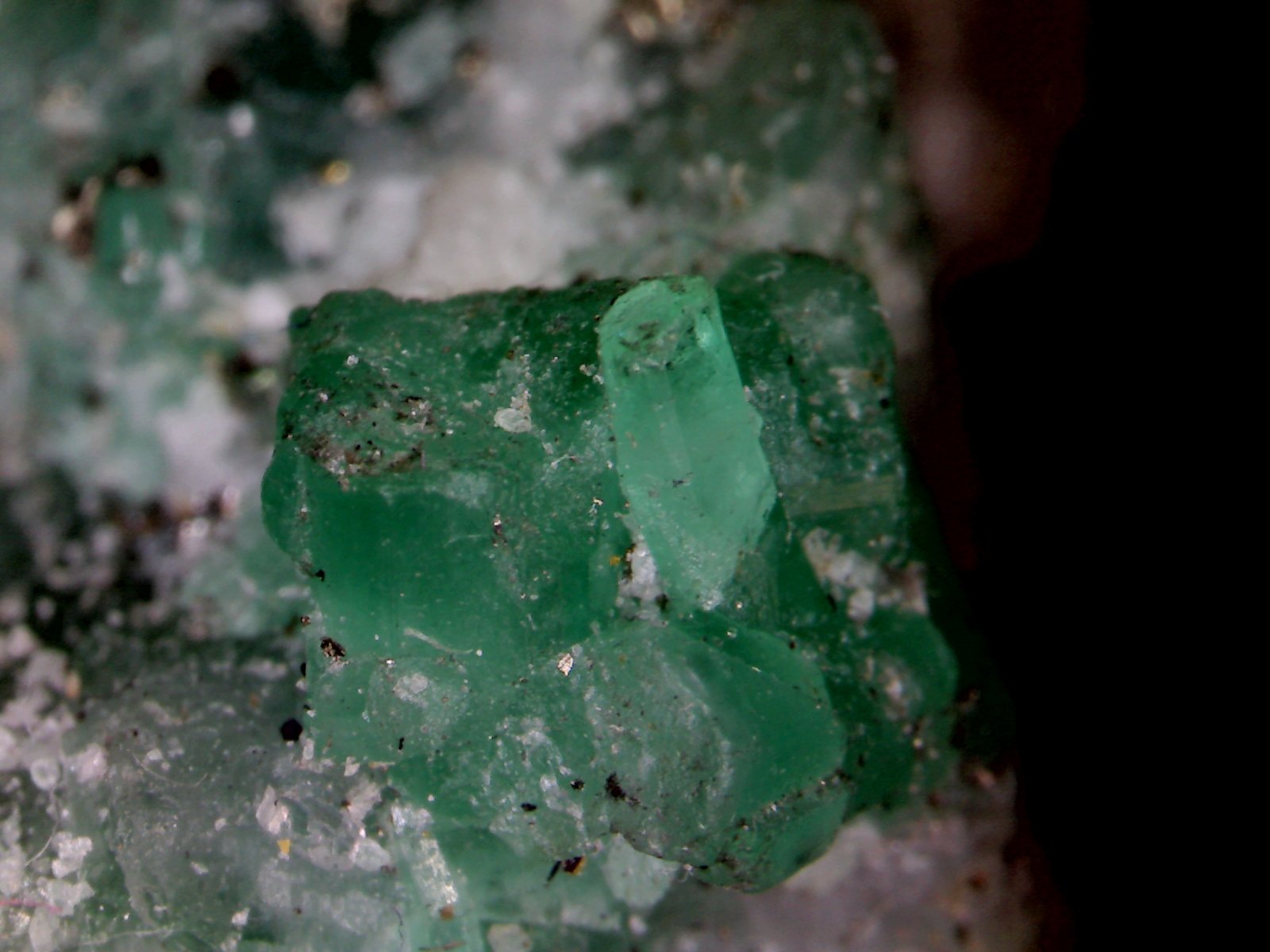 Berilo (variedad esmeralda).
0´896 x 0´813 mm.
(Autor: Jesus Franquesa Baucells)