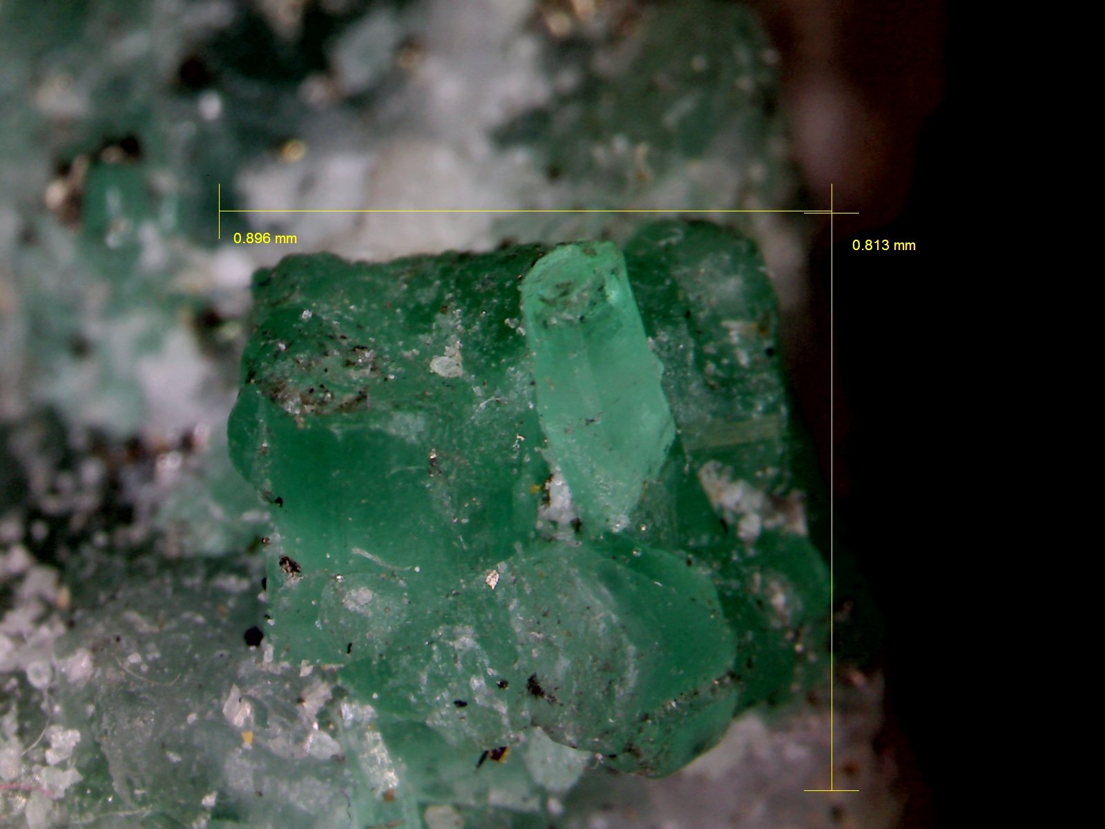 Berilo (variedad esmeralda).
0´896 x 0´813 mm.
(Autor: Jesus Franquesa Baucells)