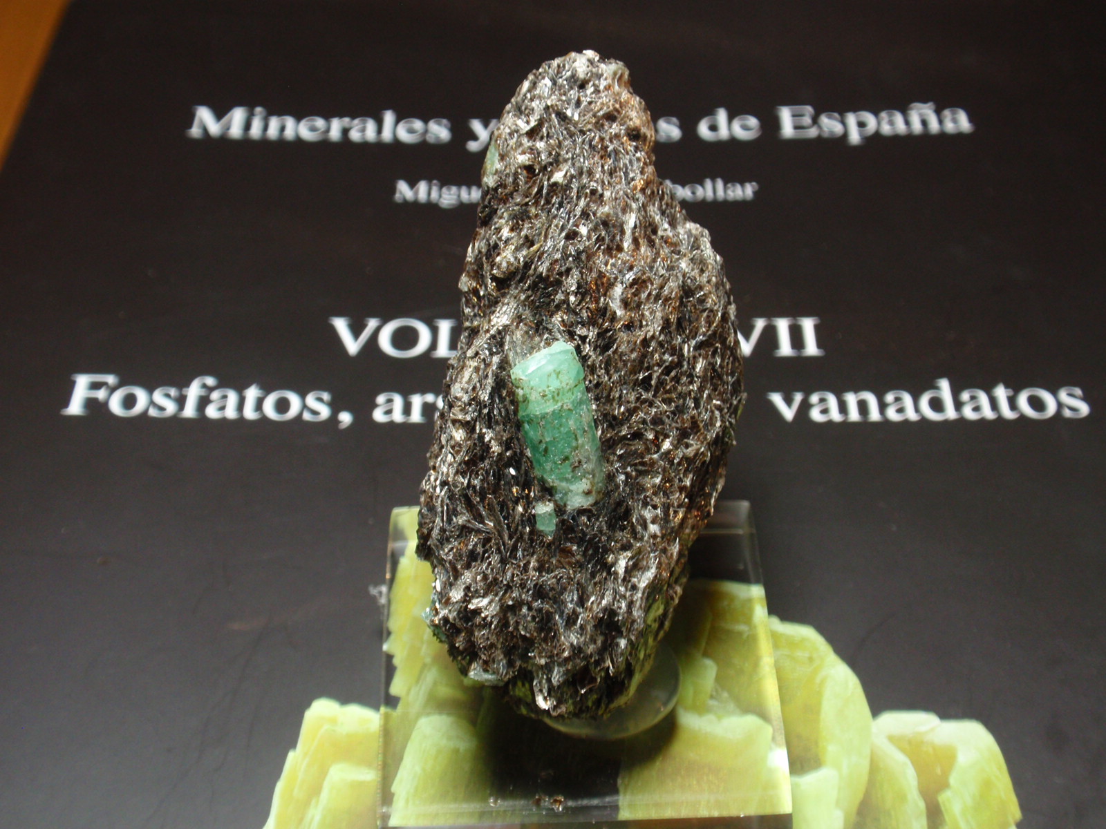 Berilo (variedad esmeralda)
30x60 mm
(Autor: Ignacio)