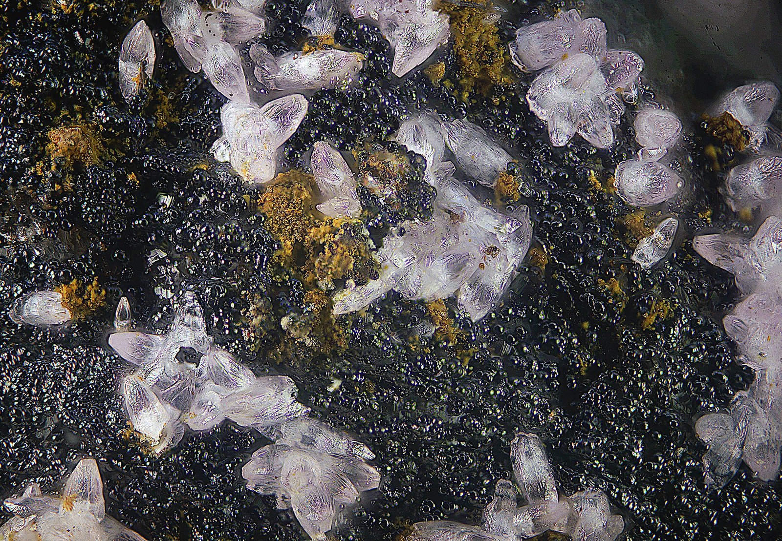 Smithsonita
Campo de visión de 2 mm.
(Autor: Antonio Carmona)