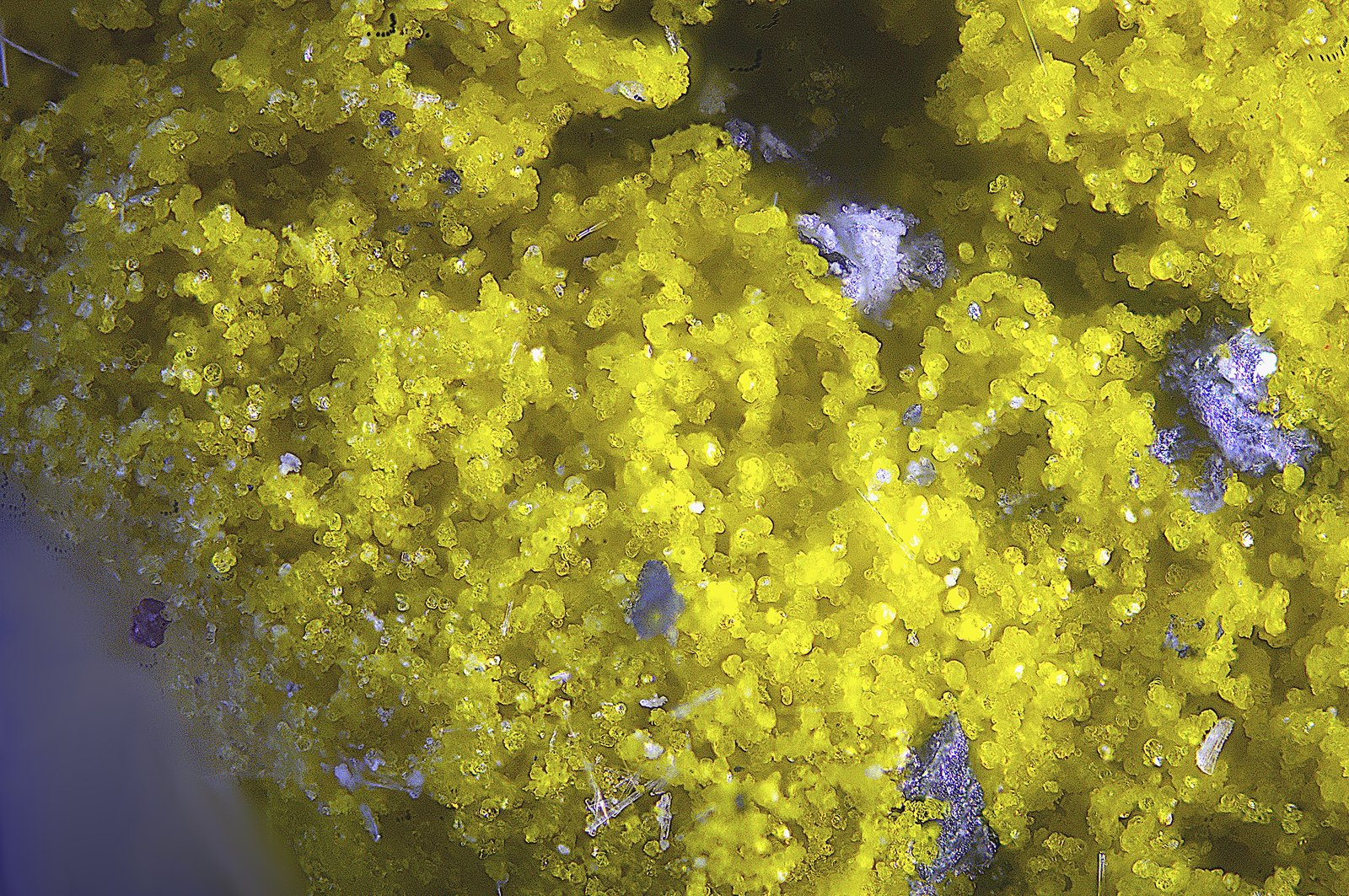 Metavoltina
Campo de visión de 2 mm.
(Autor: Antonio Carmona)