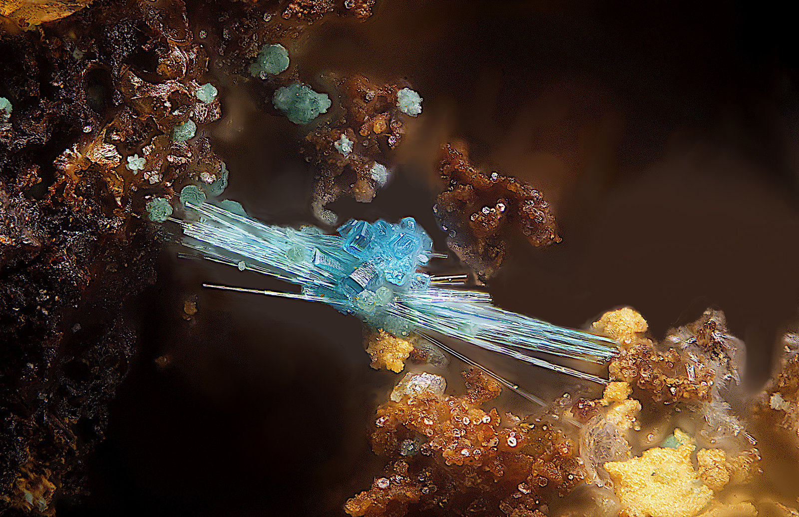 Spangolita, brochantita, paratacamita y calcoalumita
Campo de visión de 2 mm.
(Autor: Antonio Carmona)
