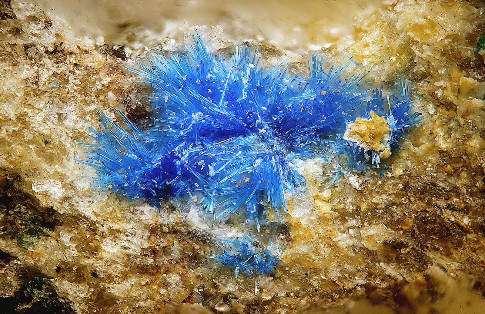 Connellita.
Campo de visión de 5 mm.
(Autor: Antonio Carmona)