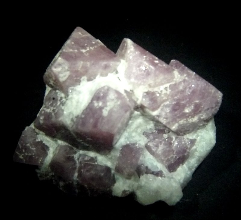 Espinela
60x60 mm.
(Autor: Jesus Franquesa Baucells)