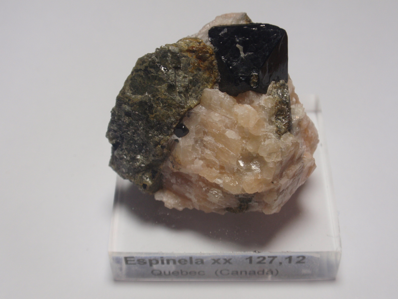 Espinela
40x30 mm
(Autor: Ignacio)