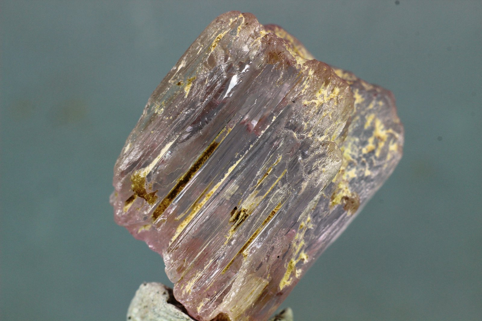 Espodumena (variedad kunzita)
30x20 mm
(Autor: Juan Espino)