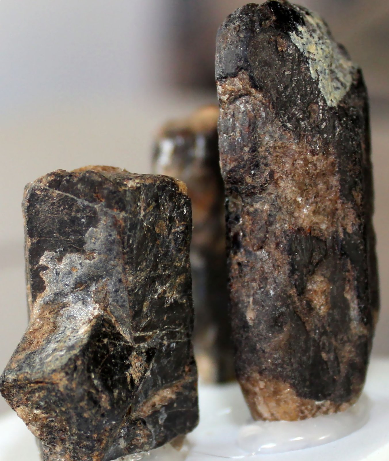 Estaurolita
42 x 21 x 15 mm.
(Autor: José Luis Zamora)