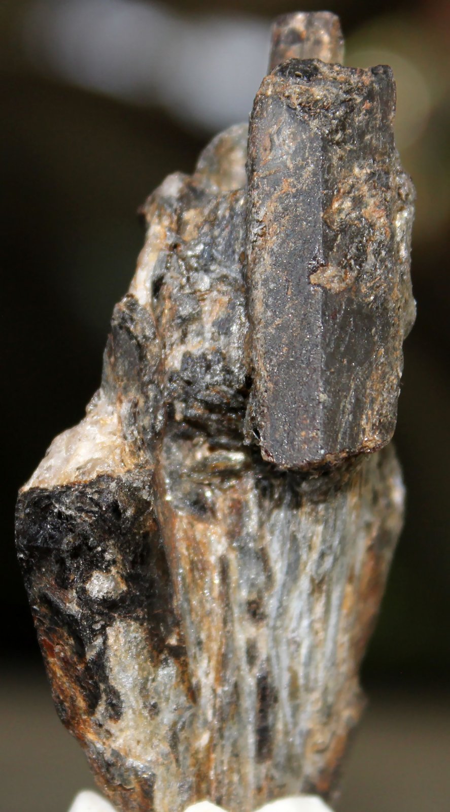 Estaurolita
68 x 45 x 21 mm.
(Autor: José Luis Zamora)