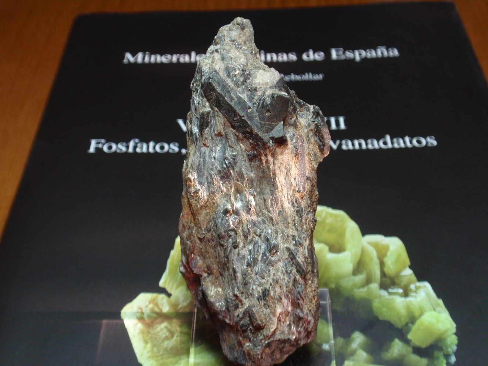 Estaurolita
35x80 mm
(Autor: Ignacio)