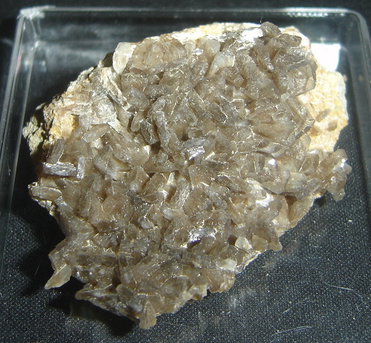 Stellerita
10 x 8 x 6 cm
(Autor: Anisio Claudio)