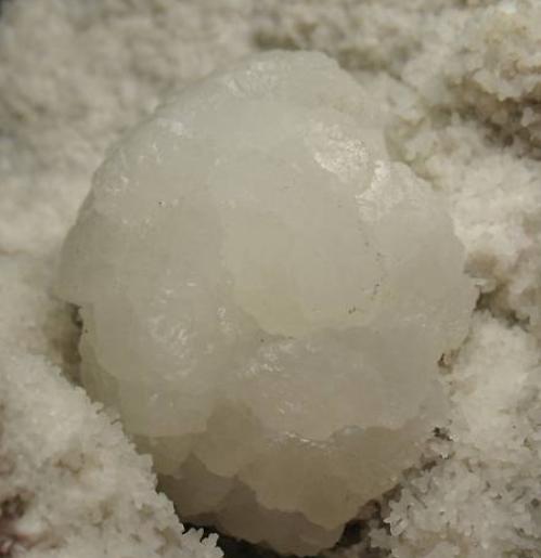 Stellerita
12 x 9 x 7 cm
(Autor: Antonio Alcaide)