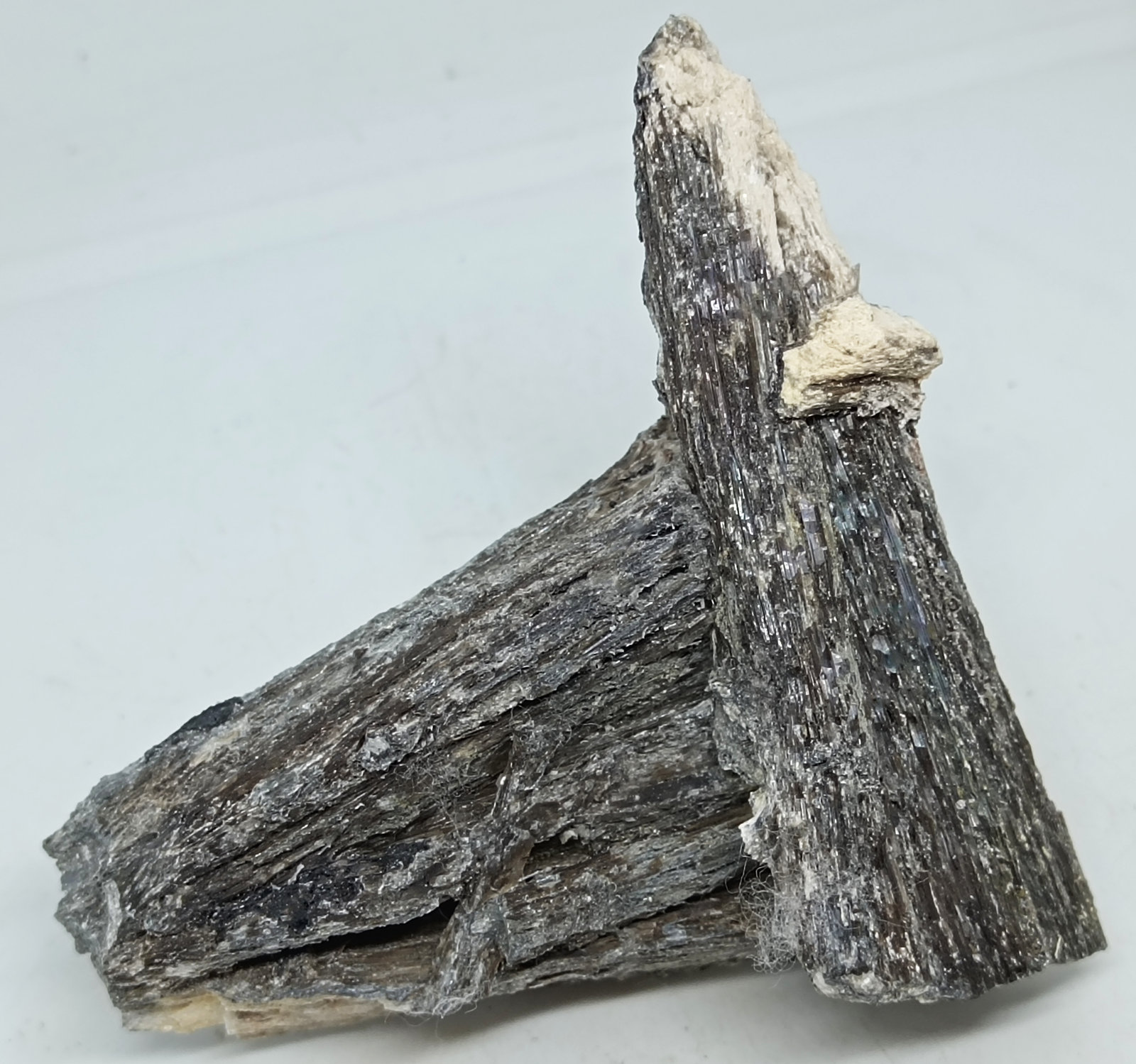 Estibiconita
90x75x25 mm.
(Autor: Luis Edmundo Sánchez Roja)