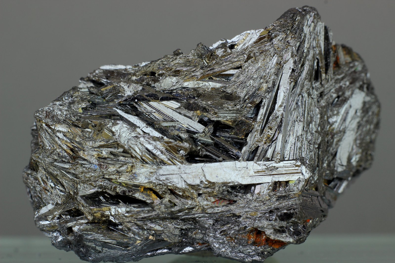 Estibina
38x25 mm
(Autor: Juan Espino)