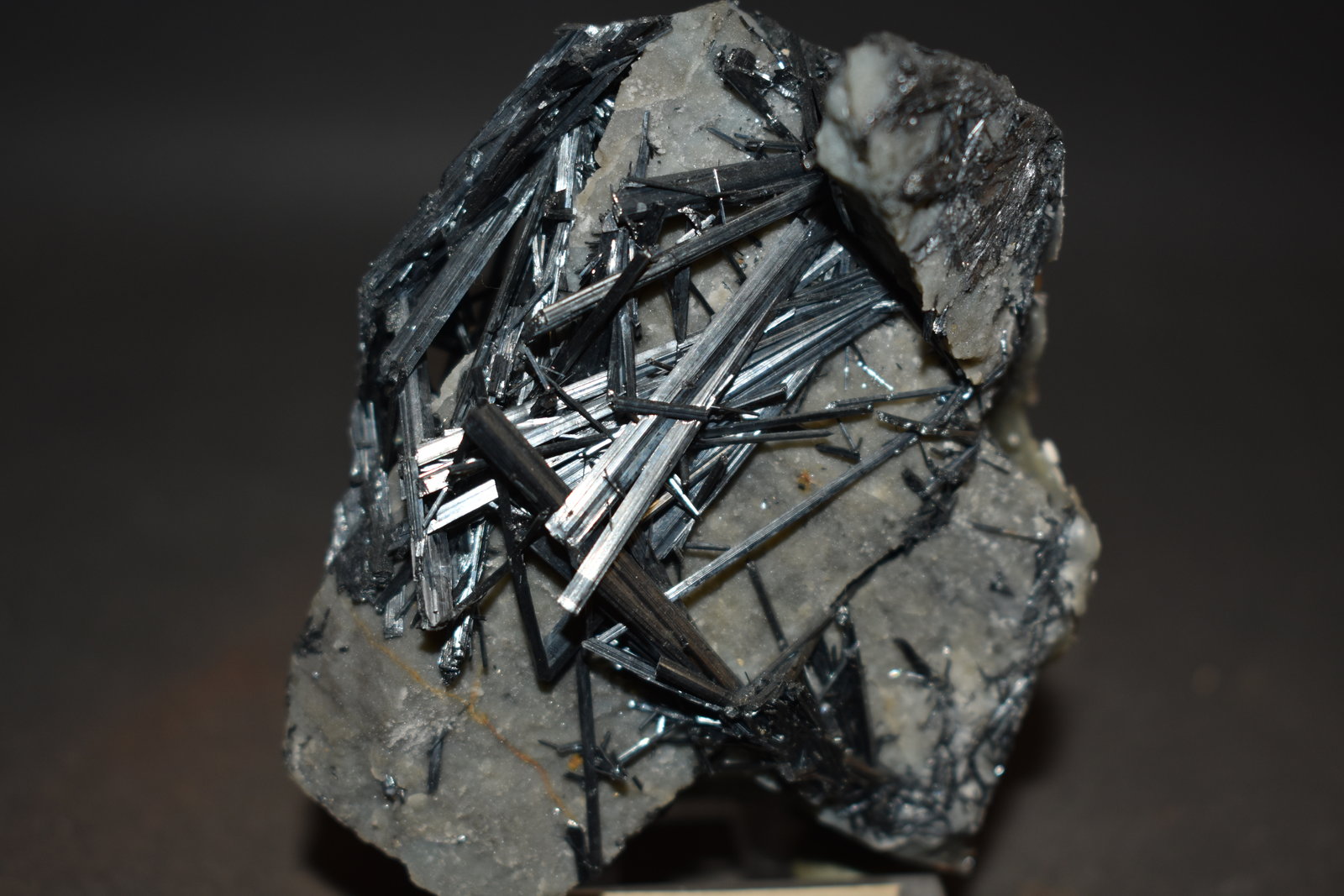Estibina
75 x 65 mm
(Autor: Joaquin Blanco Cortina)
