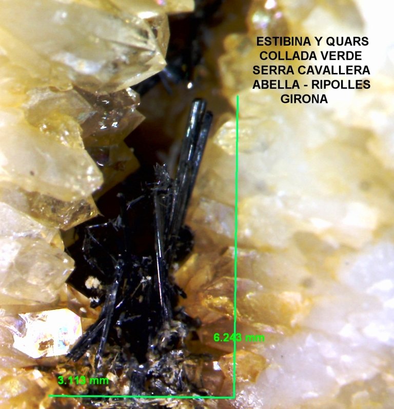 Stibnita (estibina) y Cuarzo
70x45 mm.
(Autor: Jesus Franquesa Baucells)