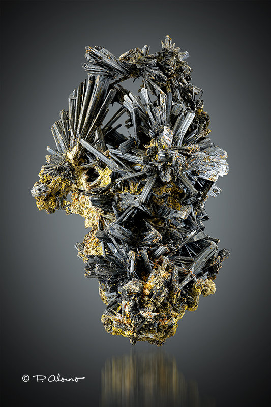 Estibina
7,5cm x 4,6cm x 2,5cm
(Autor: Pere Alonso)