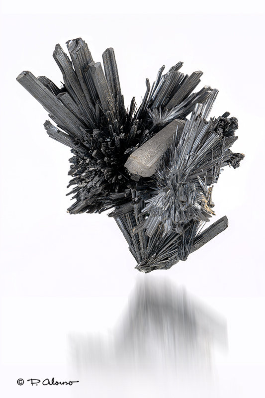 Estibina
3cm x 4cm x 2cm
(Autor: Pere Alonso)