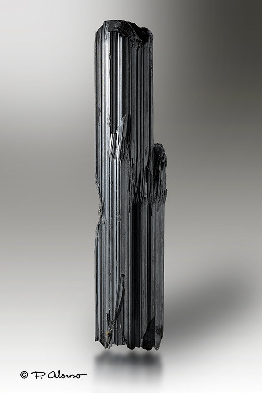 Estibina
2cm x 9cm x 1,5cm
(Autor: Pere Alonso)