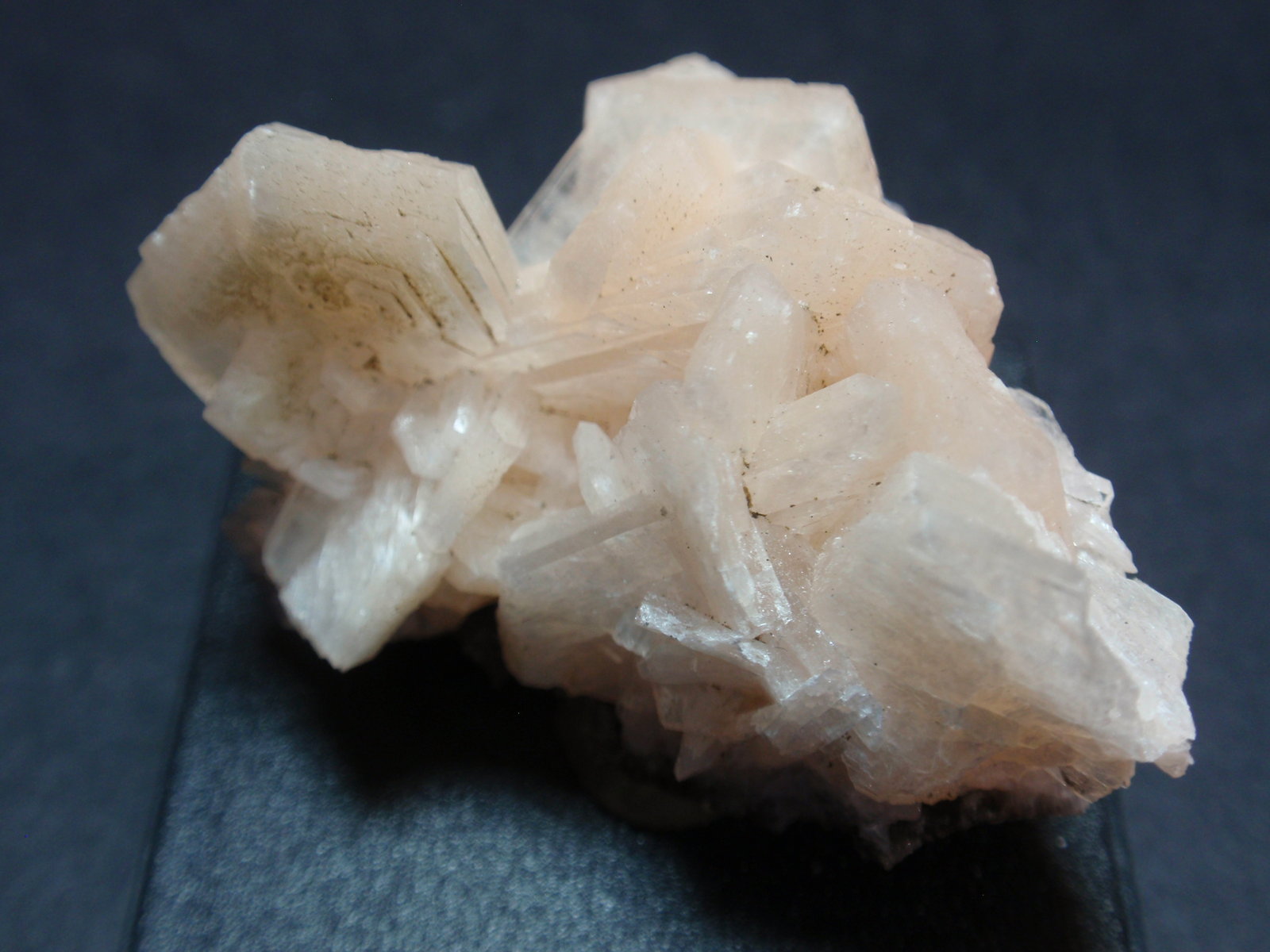 Estilbita-Ca
35x20 mm
(Autor: Ignacio)