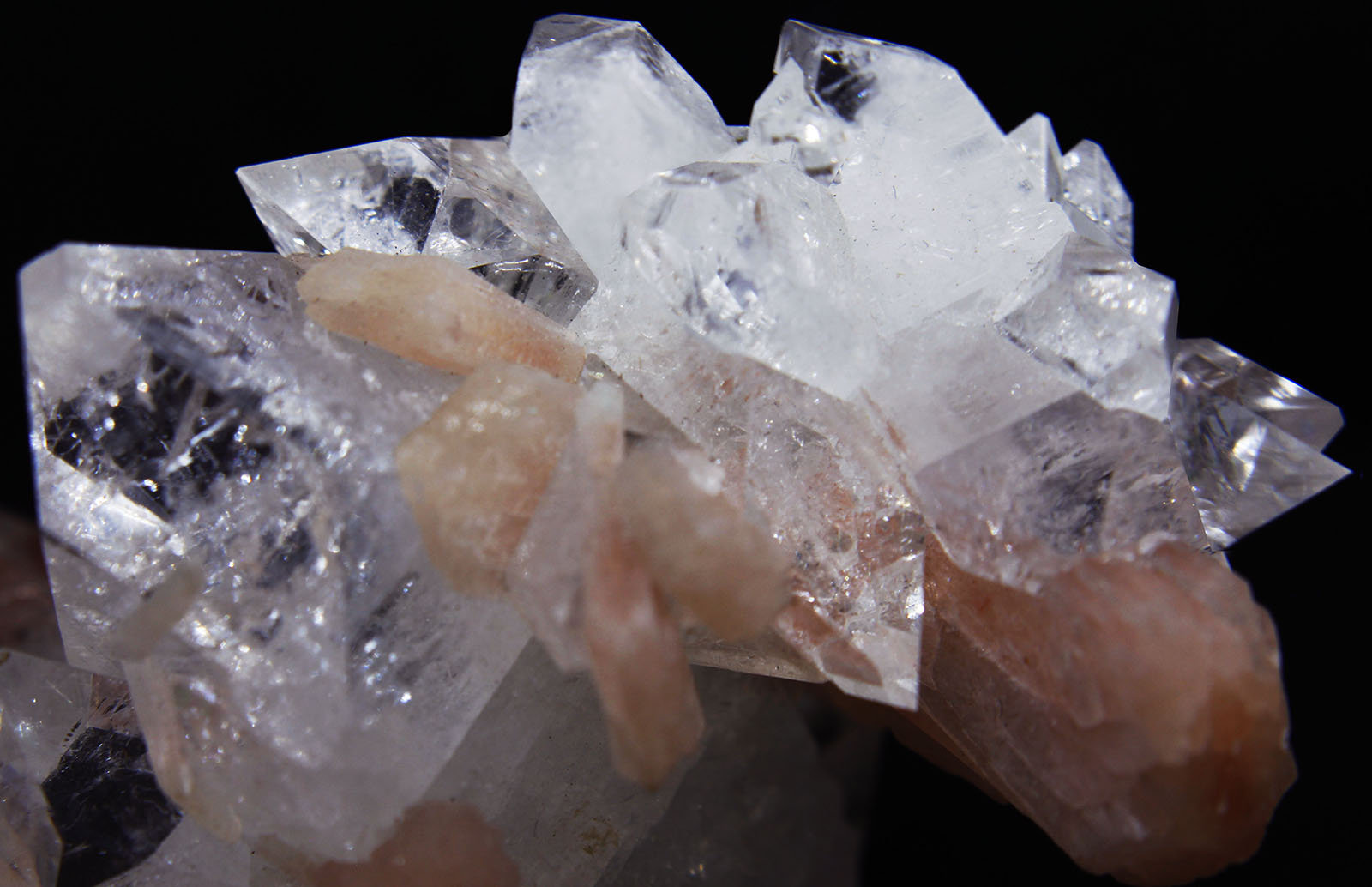 Fluorapophyllita-(K) (Apofilita), Stilbita-Ca (Estilbita-Ca)
7x4.5x5 cm
(Autor: Luis Edmundo Sánchez Roja)