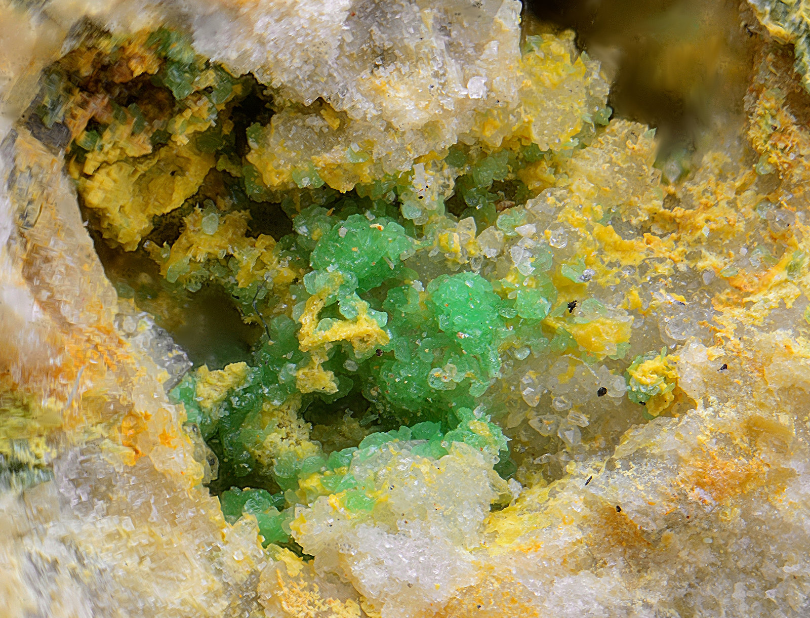 Arsentsumebita
Campo de visión de 3 mm
(Autor: Antonio Carmona)