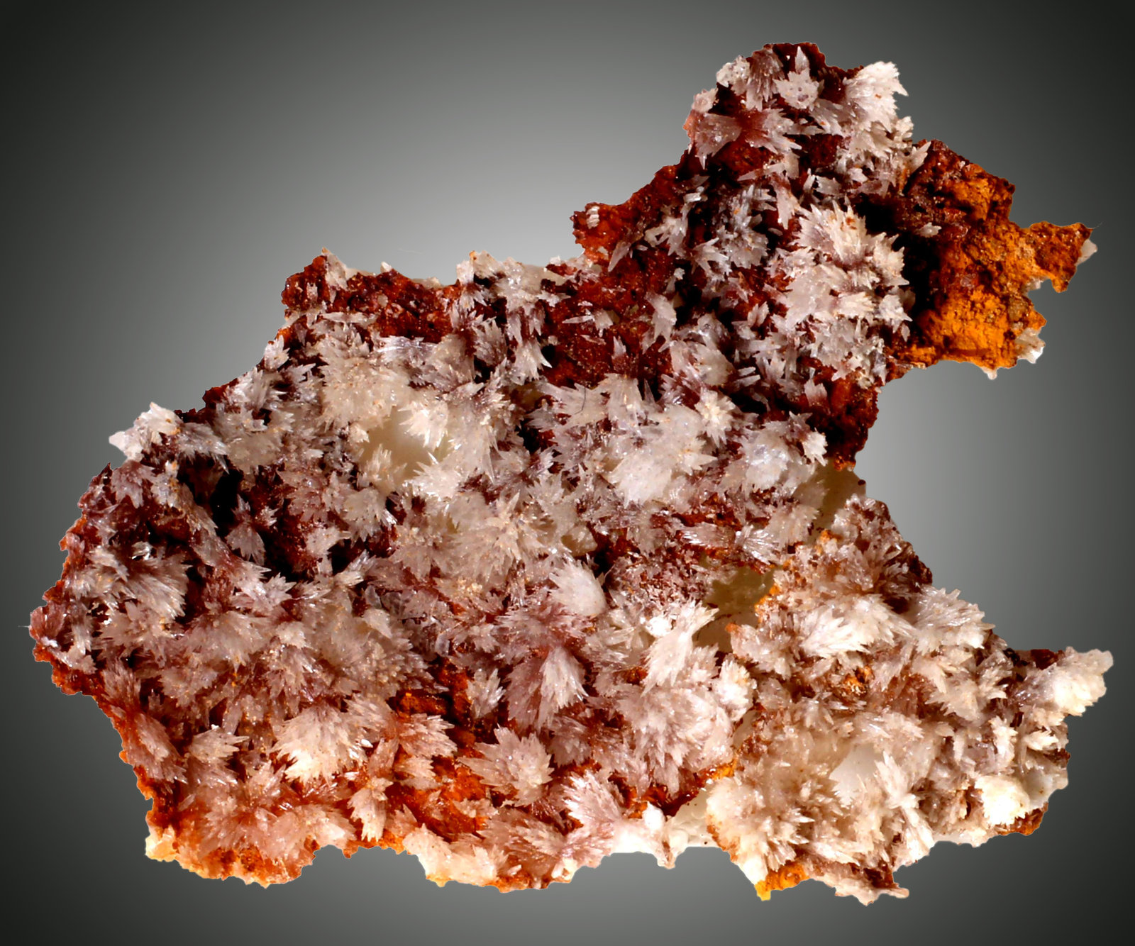 Estroncianita
28 x 23 x 3 mm
(Autor: José Luis Zamora)