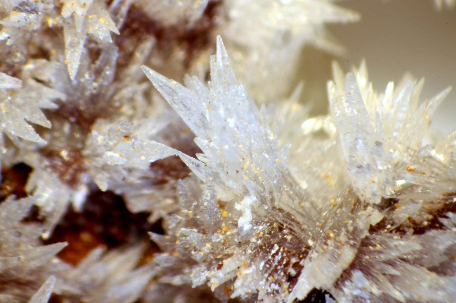 Estroncianita
Cristales de 2 mm.
(Autor: José Luis Zamora)