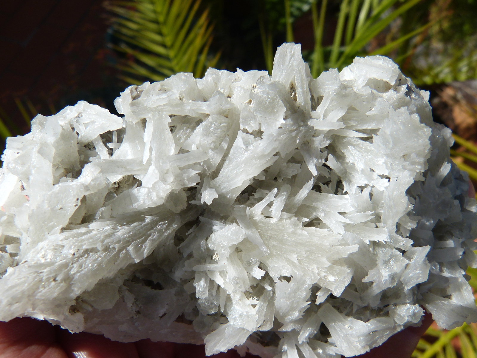 Estroncianita
12x7 cm
(Autor: nerofis2)