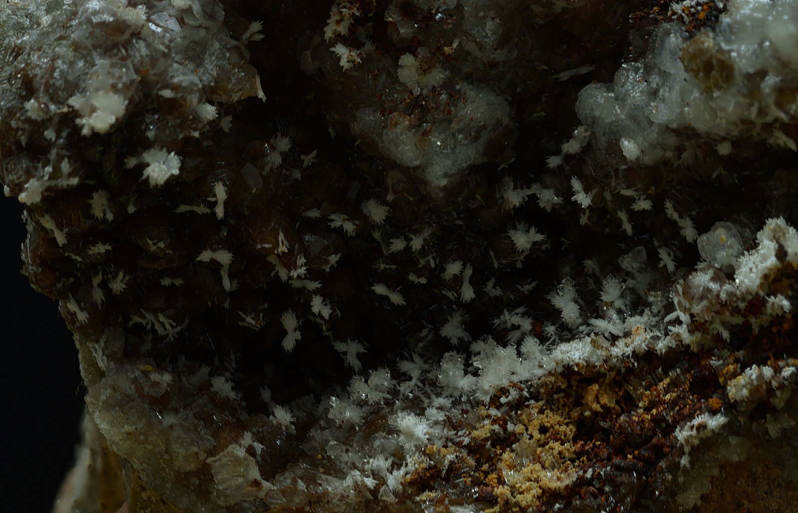 Estroncianita
Campo de visión de 40 x 30 mm
(Autor: Antonio Carmona)