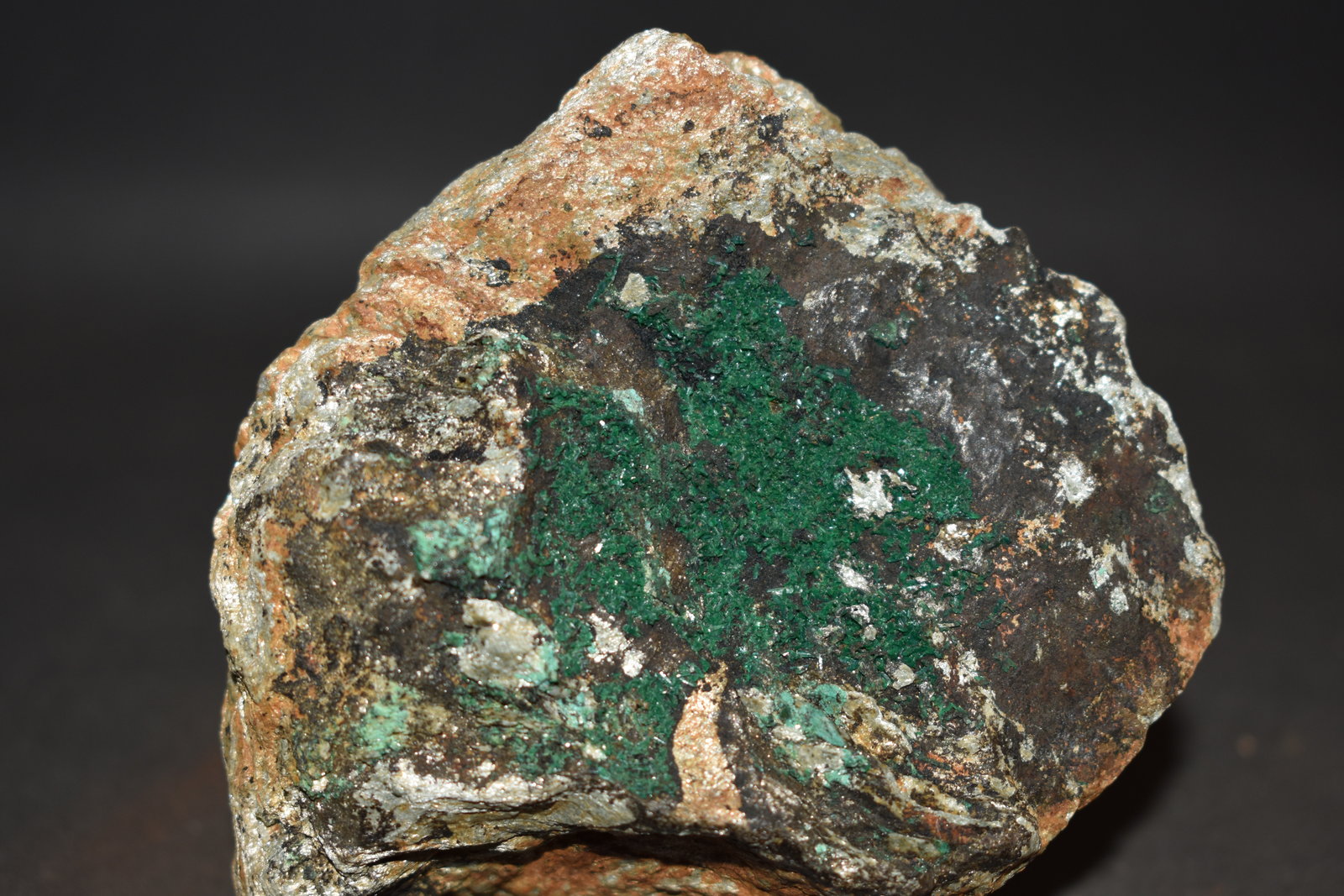 Eucroita
85 x 80 mm
(Autor: Joaquin Blanco Cortina)