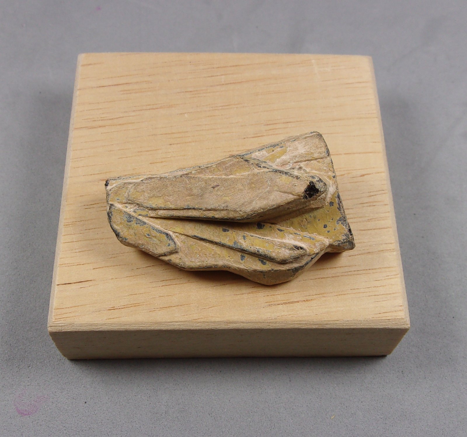 Euxenita-(Y)
3,5 x 2 cm.
(Autor: J. G. Alcolea)