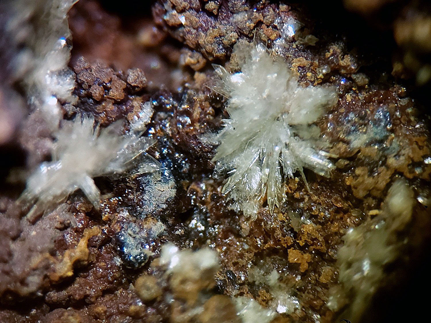 Montgomeryita
CV 4x3 mm
(Autor: Joan Niella)