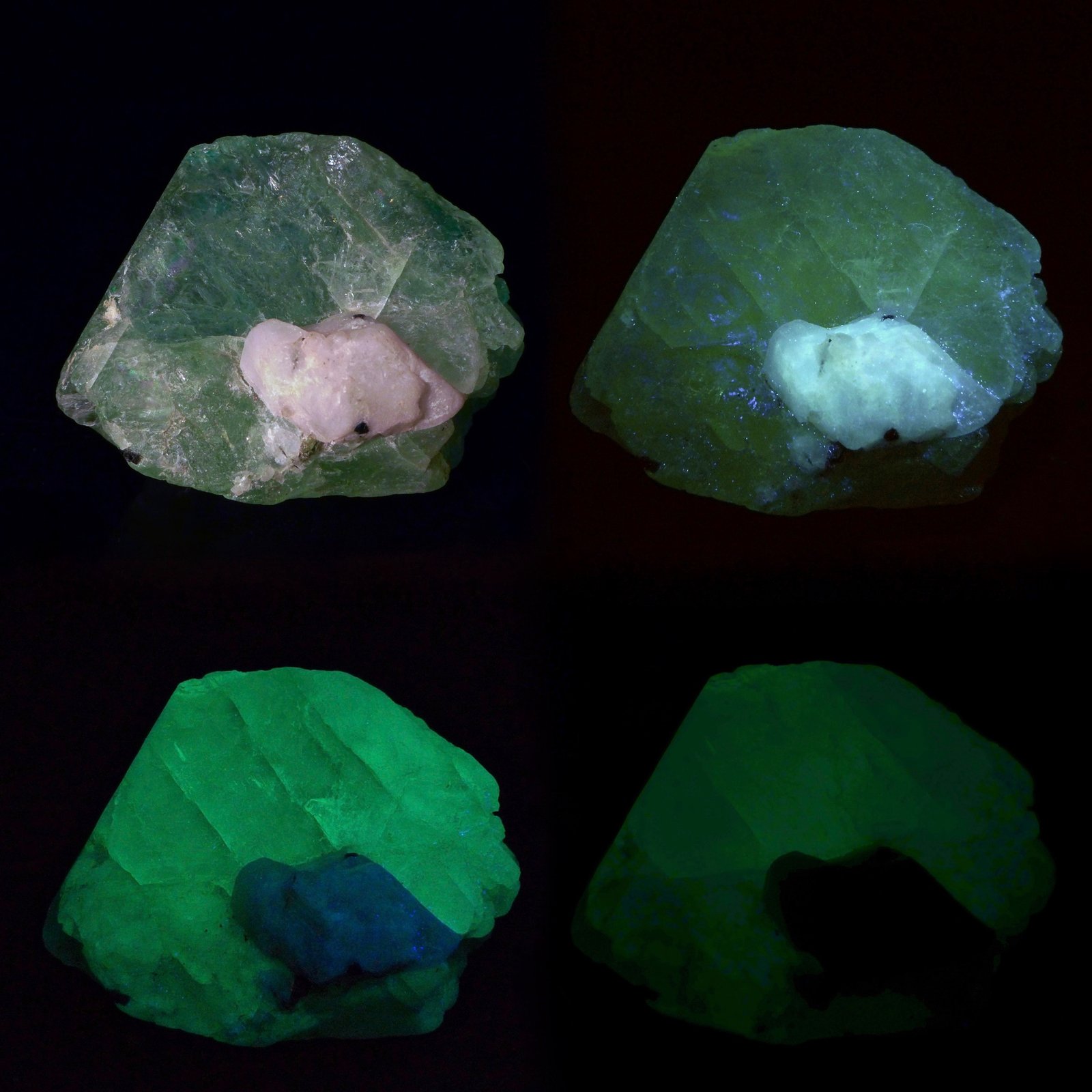 Fluorita
5 x 4 x 3 cm
(Autor: Josele)