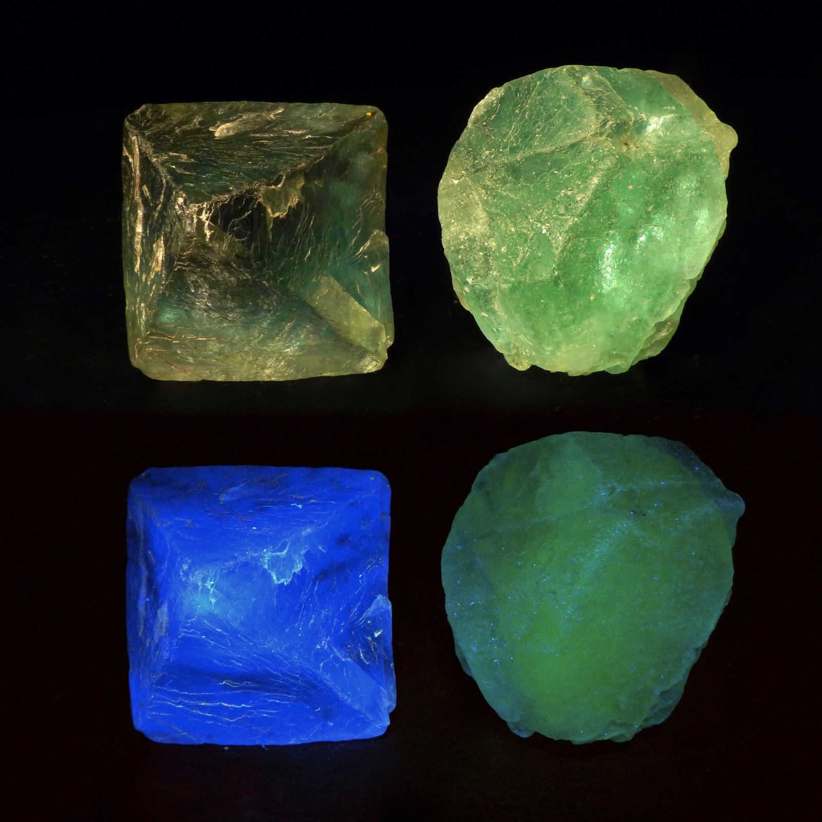 Fluorita
5 x 4 x 3 cm
(Autor: Josele)