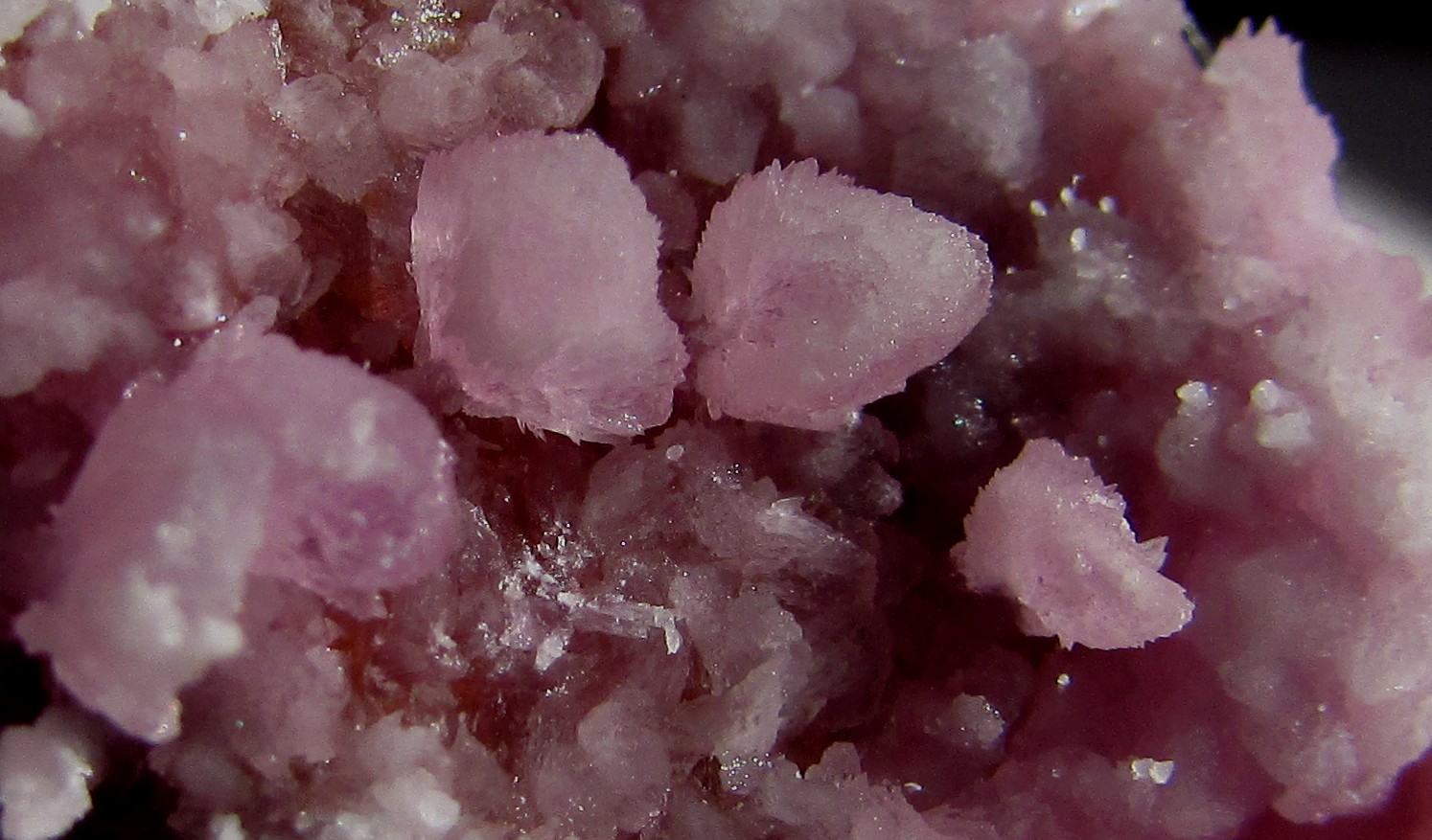 Calcita (variedad cobaltífera)
Area de enfoque de 2 x 1 cm. aprox.
(Autor: Jordi Franco)
