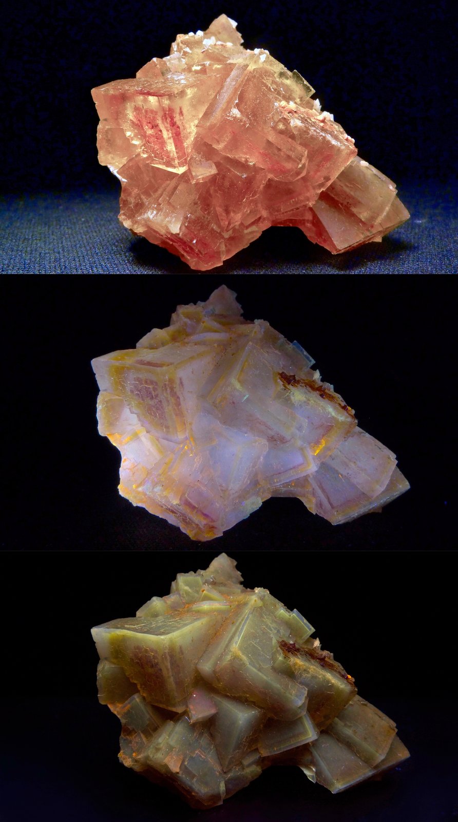 Fluorita
5 x 4 x 3 cm
(Autor: Josele)