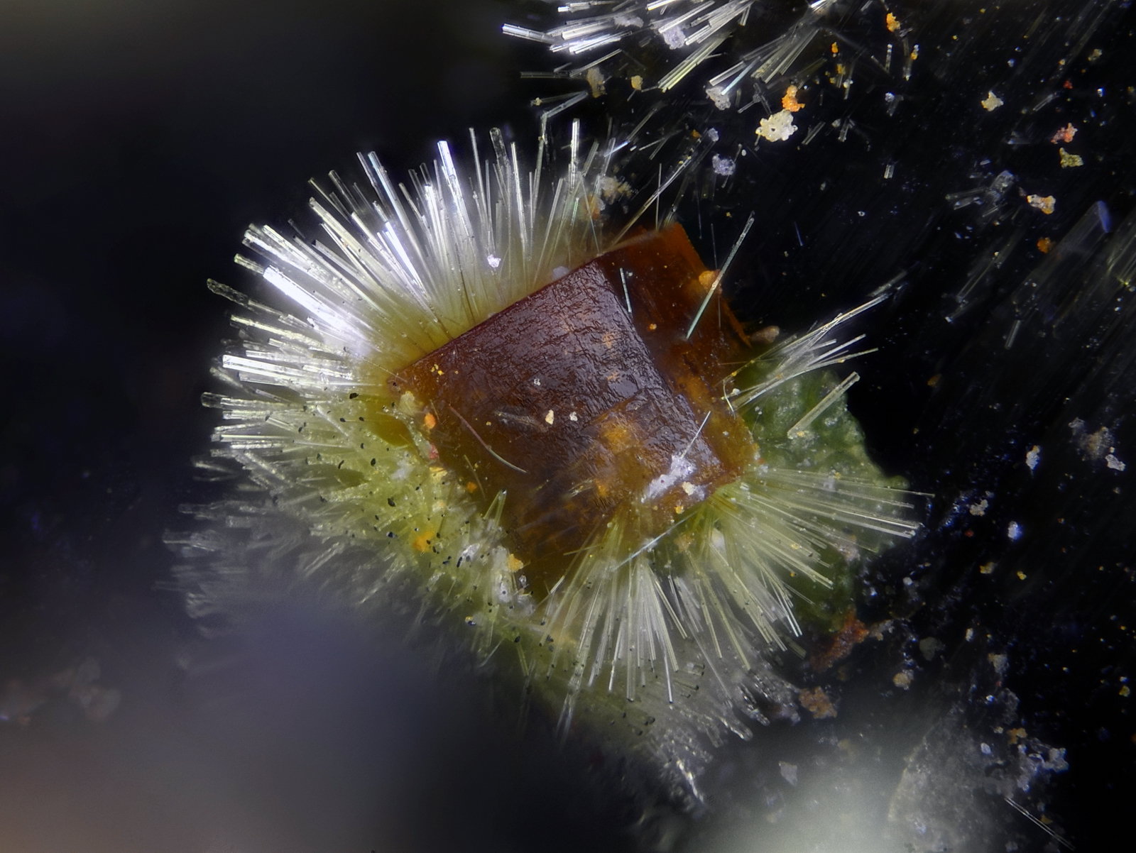 Farmacosiderita, Arthurita
Campo de visión 1 mm.
(Autor: Juan Miguel)