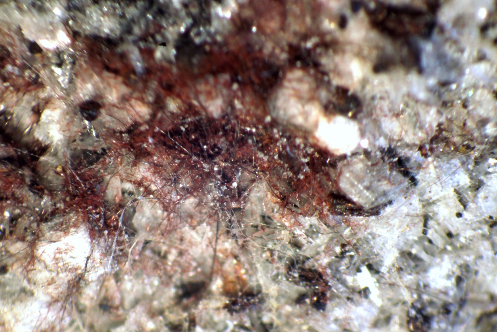 Fayalita
< 1 mm
(Autor: José Luis Zamora)