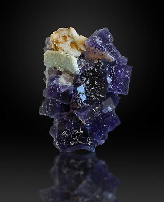 Fluorita
85x55 mm
(Autor: joaquin gar)