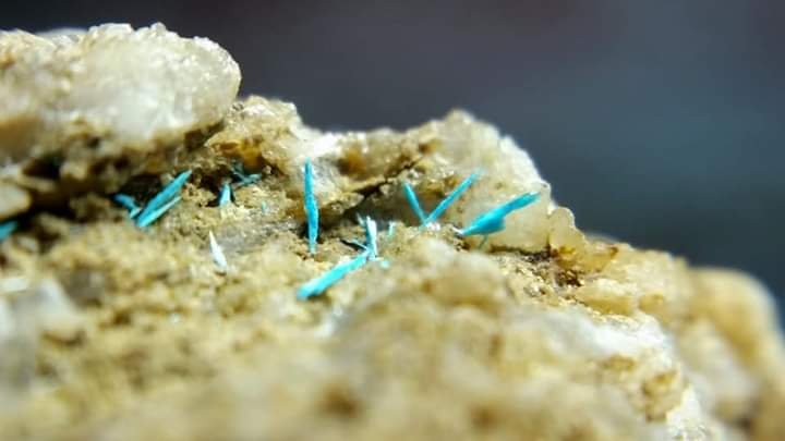 Quetzalcoatlita
5x6x2 mm
(Autor: Luis Edmundo Sánchez Roja)
