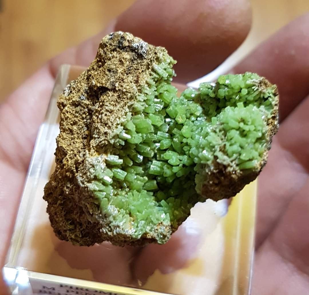 Piromorfita<br />{LOCALITAT}